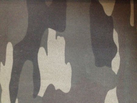 点击查看详细信息<br>标题：迷彩印花 阅读次数：3347